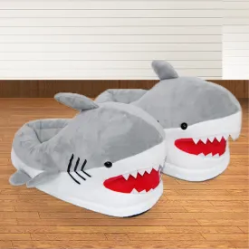 Home Couple Bag With Plush Cotton Shoes